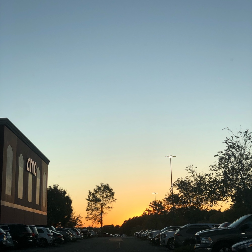 Meet your Posher, Sadie